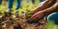 Hands holding sprout, man planting tree, organic farm, forestation, earth day and take care of the environment concept background