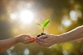 Hands holding together a green young plant Royalty Free Stock Photo