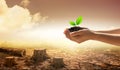 Hands holding tree growing on dead stump tree on cracked land. Saving environment and natural conservation concept with tree Royalty Free Stock Photo