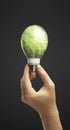 Hands holding tree growing out of electric bulb Royalty Free Stock Photo