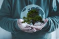 hands holding tree and virtual glob as energy efficiency concept Royalty Free Stock Photo