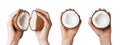 Hands holding two coconut pieces halves. Cross sections of coco nut fruit with ripe white flesh Royalty Free Stock Photo