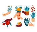 Hands holding various potted plants and flowers, colorful botanical illustration. Diverse flora in pots, hand gestures