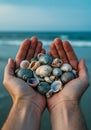 Hands Holding Various Seashells on a Sandy Beach Royalty Free Stock Photo