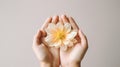 Hands holding a white flower on light background, AI Royalty Free Stock Photo
