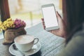 Hands holding white mobile phone with blank white screen with hot coffee cup and flower vase in cafe Royalty Free Stock Photo