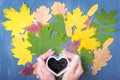 Hands holding a white mug in the shape of a heart with steaming coffee or tea on the background of colorful leaves