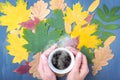 Hands holding a white mug with steaming coffee or tea on the background of autumn fallen dry colorful leaves Royalty Free Stock Photo