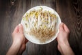 Hands holding white plate with a sprouted mung beans over wooden background Royalty Free Stock Photo