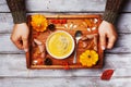 Hands holding wooden tray with autumn pumpkin soup decorated seeds and thyme in white bowl on rustic table top view. Royalty Free Stock Photo