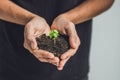 Hands holding young green plant, on black background. The concept of ecology, environmental protection Royalty Free Stock Photo