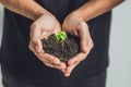 Hands holding young green plant, on black background. The concept of ecology, environmental protection Royalty Free Stock Photo