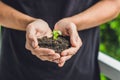 Hands holding young green plant, on black background. The concept of ecology, environmental protection Royalty Free Stock Photo