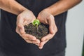 Hands holding young green plant, on black background. The concept of ecology, environmental protection Royalty Free Stock Photo