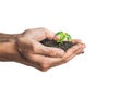 Hands holding young green plant, Isolated on white. The concept of ecology, environmental protection Royalty Free Stock Photo