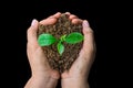 Hands holding young plant black background Royalty Free Stock Photo