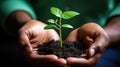Hands holding a young plant with dirt. Generative AI image. Royalty Free Stock Photo