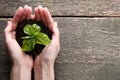 Hands holding young plant