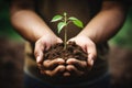 Hands holding a young plant with soil in nature background, Ecology concept, Human hands holding a small plant with soil on a