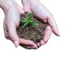 Hands holding young plant with soil Royalty Free Stock Photo