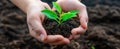 The hands holding a young plant symbolize growth and nurturing in nature..AI generated image Royalty Free Stock Photo