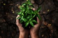 Hands holding young plants on the arid soil and cracked ground or dead soil in the nature park of growth of plant for reduce glo Royalty Free Stock Photo