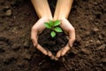 Hands holding young plants on the back soil Royalty Free Stock Photo