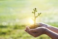 Hands holding young plants sprouting and growing on green nature background, Earth Day, new life growth ecology and business Royalty Free Stock Photo