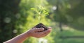 Hands holding young plants sprouting and growing on green nature background, Earth Day, new life growth ecology and business