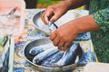 hands holdong tuna fish at seafood market Royalty Free Stock Photo