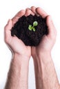 Hands holds topsoil with plant Royalty Free Stock Photo