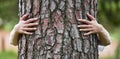 Hands, hug tree and sustainability in woods, nature or earth day for care, love or accountability. Woman, embrace and Royalty Free Stock Photo