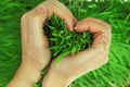 Hands hugging grass in shape of heart