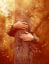 Hands hugging a tree in mystical forest Royalty Free Stock Photo