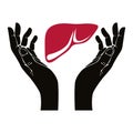 Hands with human liver vector symbol.