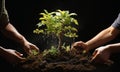 Hands of individuals coming together to plant a young tree on the earth, a symbol of environmental responsibility. AI Generated