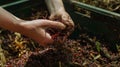 Hands Interacting with Composting Worms.AI generated image Royalty Free Stock Photo