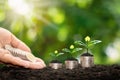 The hands of investors deliver coins to trees planted on coins.