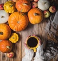 Hands keeping cup of coffee and pumpkins