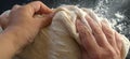 Hands knead the dough. The woman kneaded dough for baking or dumplings. Preparation of flour, water and egg mass