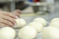 Hands kneading bread dough