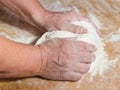 Hands kneading a dough