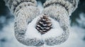 Hands in Knitted Gloves Holding a Pine Cone Covered in Snow Royalty Free Stock Photo