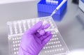 hands of a lab technician with a tube of blood sample and a rack with other samples Royalty Free Stock Photo