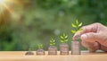 Hands laying coins on pile with plant growing on money, bond investment concept Raise funds to fund environmentally friendly Royalty Free Stock Photo