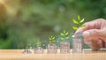 Hands laying coins on pile with plant growing money with investment concept green background Raise funds to support green Royalty Free Stock Photo