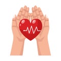 Hands Lifting Heart Cardio With Line Pulse Isolated Icon