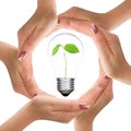 Hands and light bulb with plant inside Royalty Free Stock Photo