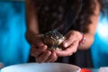 Hands lighting an incense, cleansing ritual, spiritual beliefs, white magic