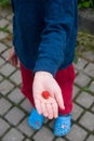 Hands of a little boy with sweet juicy strawberries